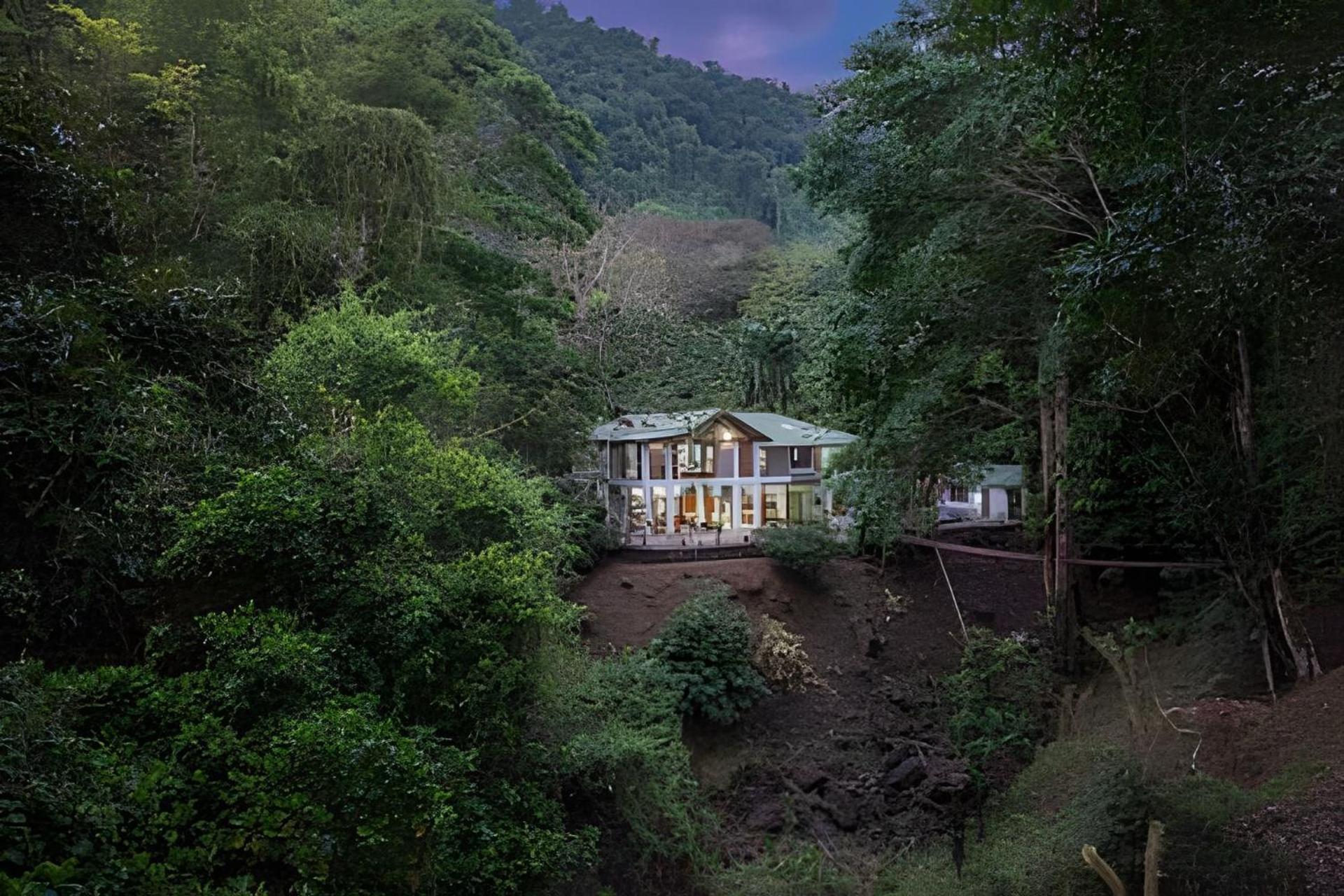 The Jungle Inn Dominicalito Екстер'єр фото