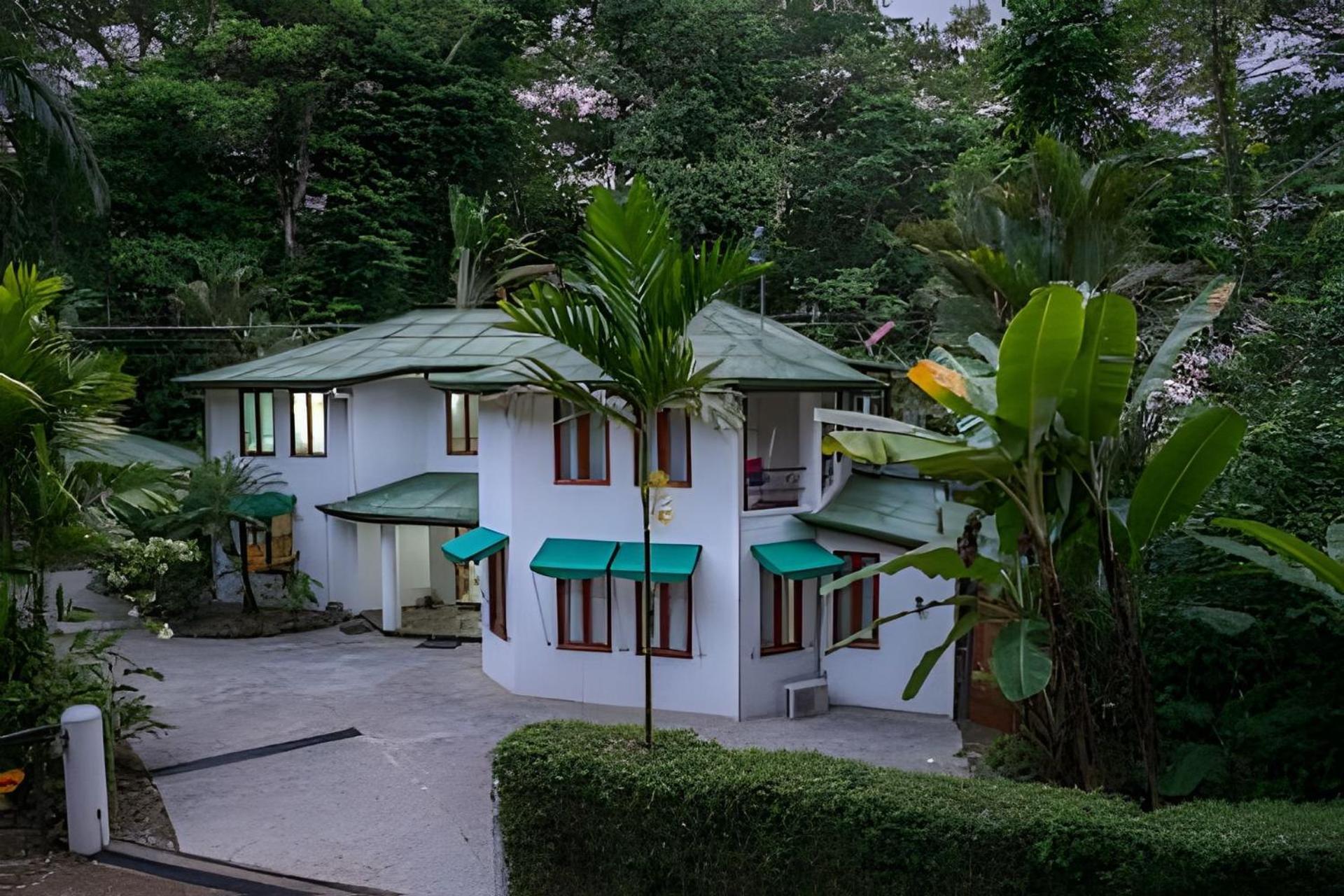 The Jungle Inn Dominicalito Екстер'єр фото
