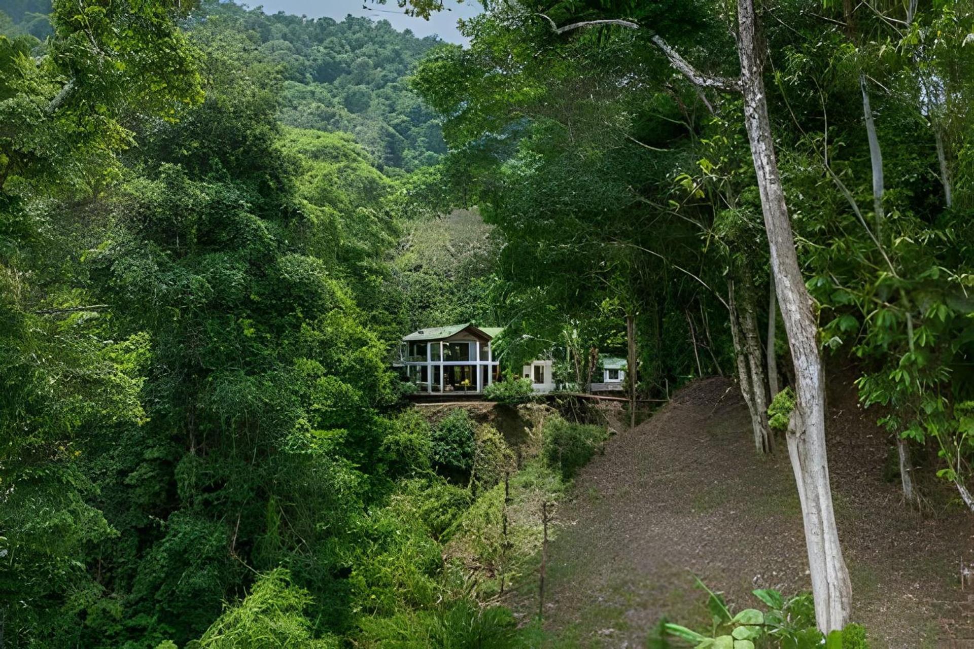 The Jungle Inn Dominicalito Екстер'єр фото